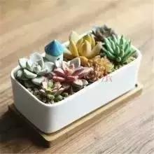 辦公室風(fēng)水禁忌&催財(cái)運(yùn)**！新的一年加薪看這里！