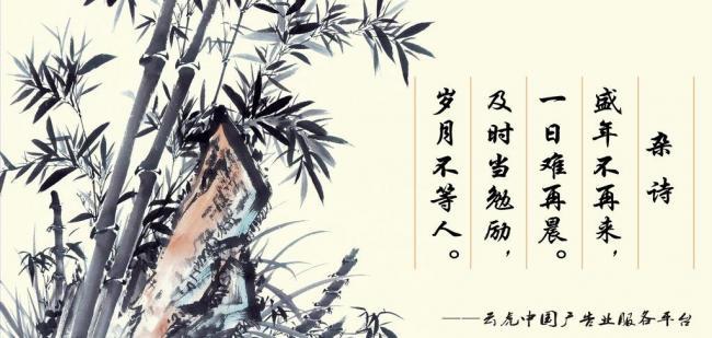 辦公室風(fēng)水?dāng)[件，助你事業(yè)風(fēng)生水起