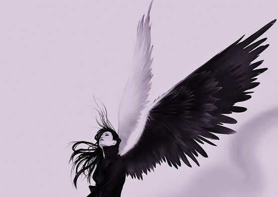 裝修第三方平臺(tái)，是裝修行業(yè)的天使還是惡魔