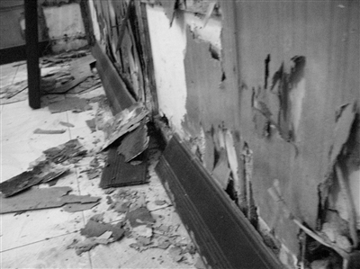 白蟻的危害，每年造成的直接經(jīng)濟(jì)損失在3000萬元以