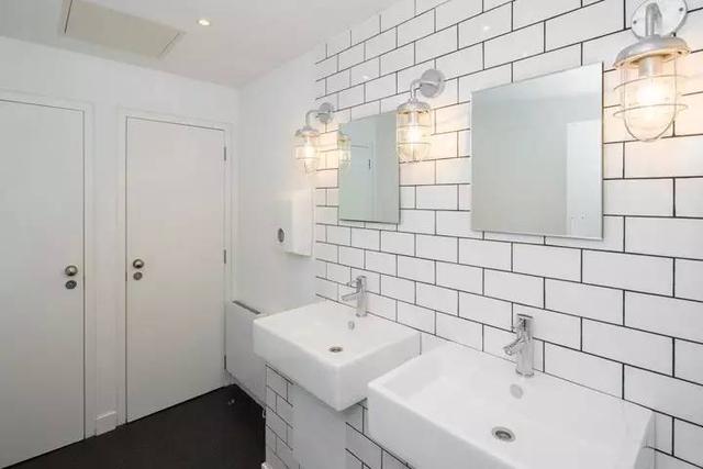 150億市場潛力，辦公室裝修也要開始考慮狗狗的感受了